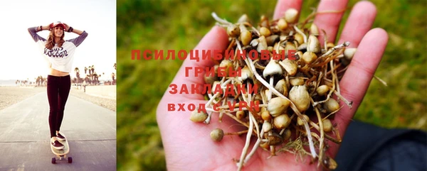 стаф Нефтекумск
